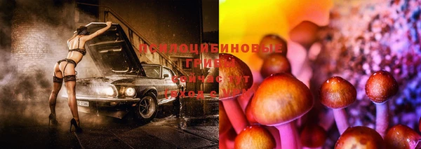 ECSTASY Навашино