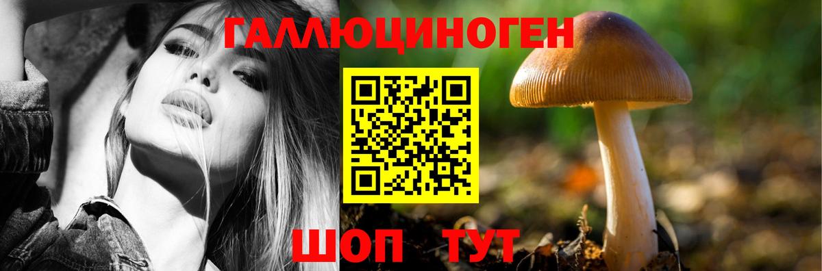 даркнет сайт  Баксан  Галлюциногенные грибы мицелий 